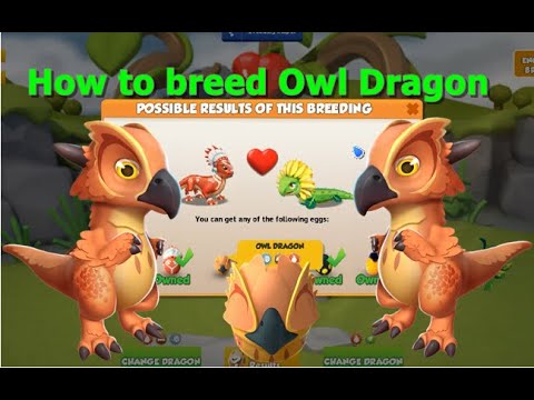How to breed Owl Dragon-Dragon Mania Legends | DML