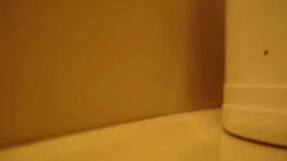 Download lagu Vivian Hsu (徐若瑄) feat.曹格. I Still Believe. (Cover) mp3 Download lagu Vivian Hsu (徐若瑄) feat.曹格. I Still Believe. (Cover) mp3