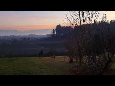 Kingwelle/BFA 244ccm Plug and Play Cylinder Kit Testfahrt