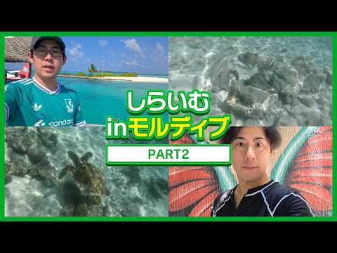 【#2】白井悠介、モルディブを満喫する。