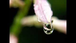 CHRIS DE BURGH - Here Is Your Paradise (Lyrics) -