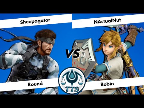 Tip the Scales 99 - Round Robin - DCG | Sheepagator (Snake) vs NActualNut (Link)