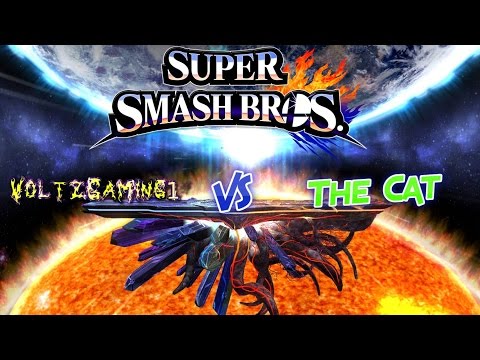 Super Smash Bros for Wii U: Vs The Cat!