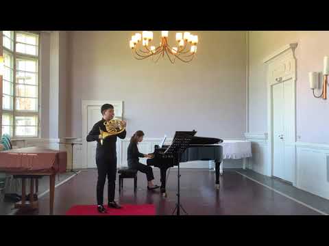 Mozart Horn Concerto No.4