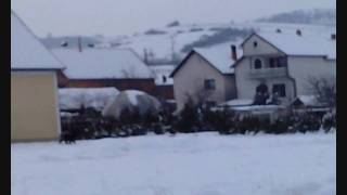 preview picture of video 'Thiu i Eger ne Koretin - Wild boar in Koretin, Kosovo (HD).wmv'