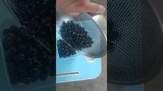 Bala egang fruit. Gamot sa Diabetis  at Hi- blood ,meracle  fruit