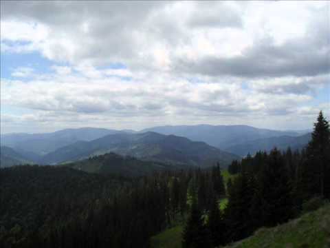 Bapsa ..Stana din Farcasa Neamt :X