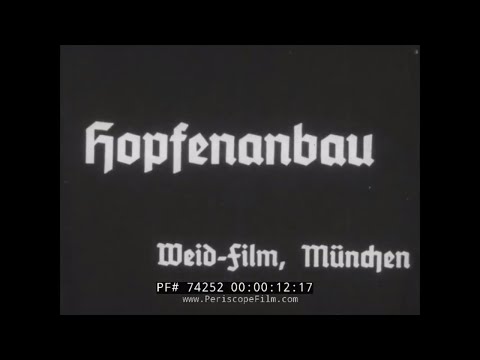 GROWING HOPS FOR BEER IN GERMANY   HISTORIC FILM 74252