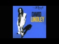 David Lindley: She Took off my Romeo  (Reggae)
