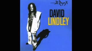 David Lindley: She Took off my Romeo  (Reggae)