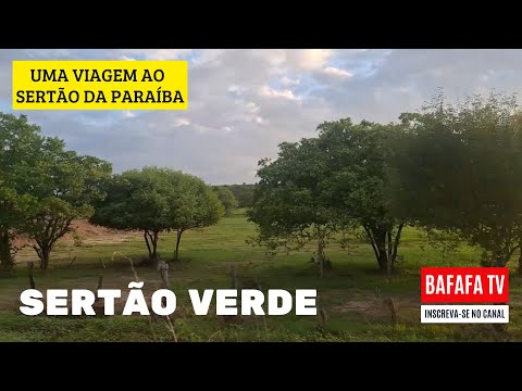 UMA VIAGEM AO SERTÃO DA PARAÍBA - SERTÃO VERDE