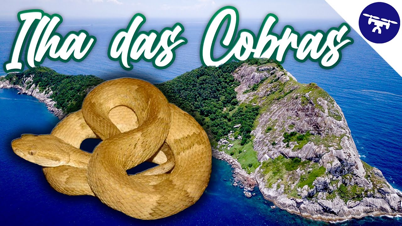 Fui na ILHA mais PERIGOSA DO MUNDO - Ilha das Cobras