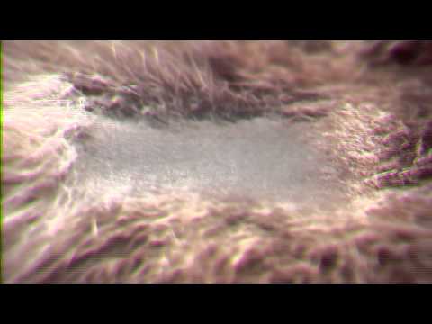 MFF2014 / Metacinéma Appliqué (Applied Metacinema)