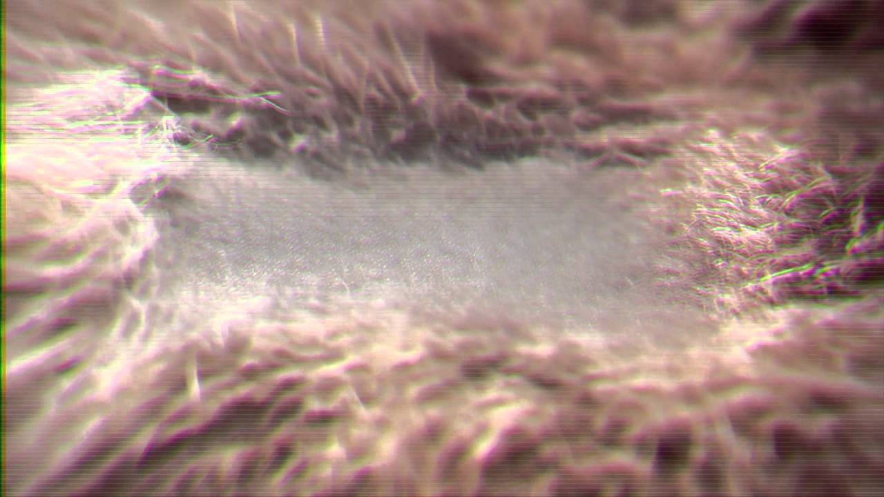 Miniature de la vidéo MFF2014 / Metacinéma Appliqué (Applied Metacinema) du film Applied metacinema