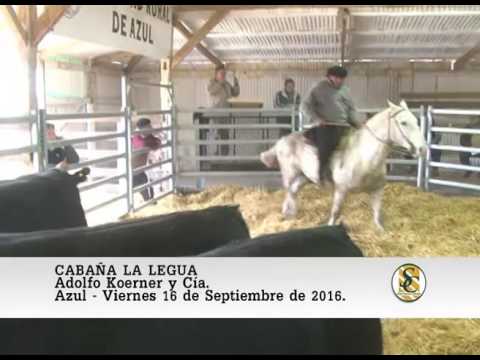 16-09-16 Cabaña La Legua - Adolfo Koerner- Azul