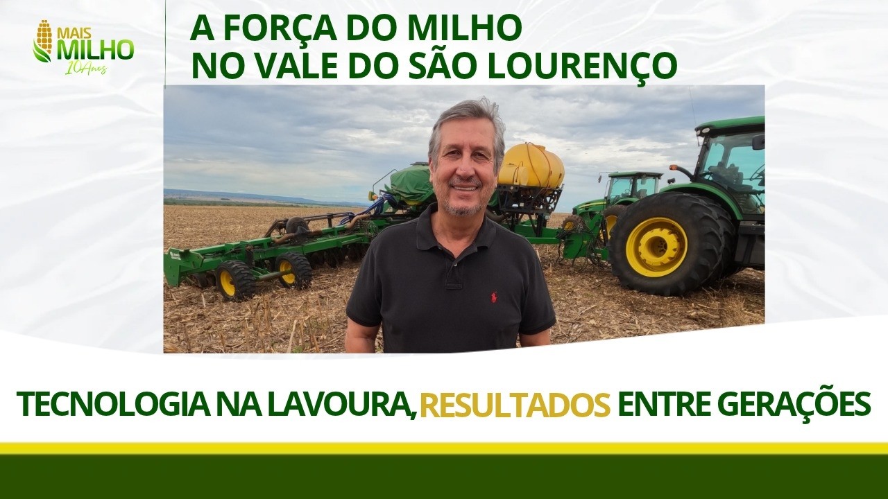 A força do milho no vale de São Lourenço