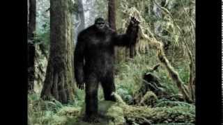 Dr. Melba Ketchum on Coast to Coast AM - 29 March 2015