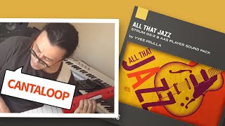 Video thumbnail for Cantaloop—Thiago Pinheiro jams with the All That Jazz sound pack for Strum GS-2 by Applied Acoustics Systems