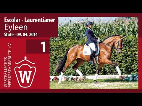 01 Eyleen Stute v. Escolar - Laurentianer