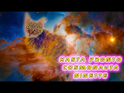 ¡Hasta pronto Ninette!