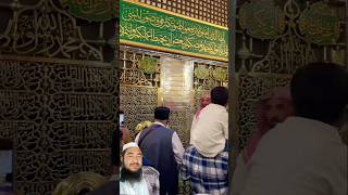 Download lagu صل اللہ علیہ والہ سلام صل اللہ علیہ والہ سلام🙌🌹💚 #madina #prophet #muhammadﷺ #ytshorts #shorts #yt mp3