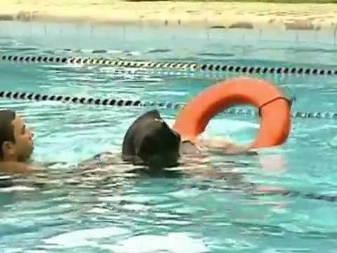 SBT repórter 02/04/12 - tropas de Elite - parte1.4.mp4