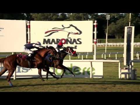 220402 c10 ROCK N ROLL (BRZ)