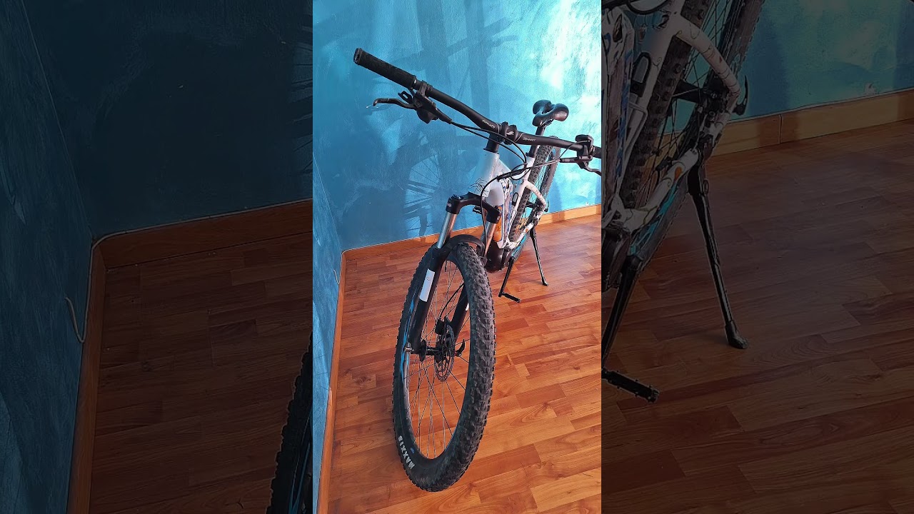 Graziella la bici snella E-Bike MTB (167 - 184 cm)