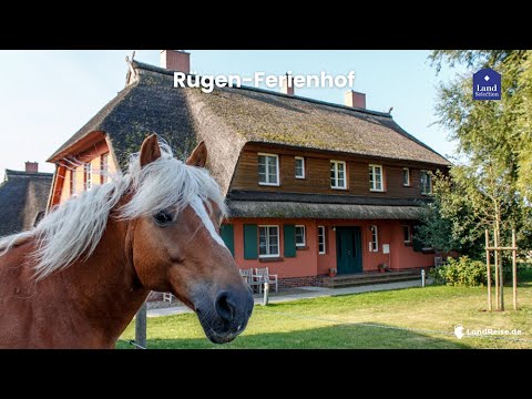 Video 28 aus  Rügen-Ferienhof