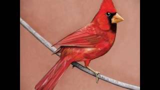 Alexisonfire- Burial