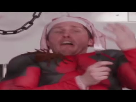 jerma gets attacked by a SPIDER after EMBARRASSING himself on moistcr1tical stream