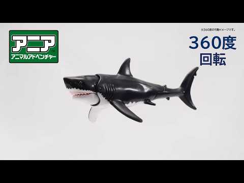 【公式】アニア360度回転動画　「AL-13　ホホジロザメ（水に浮くVer.）」