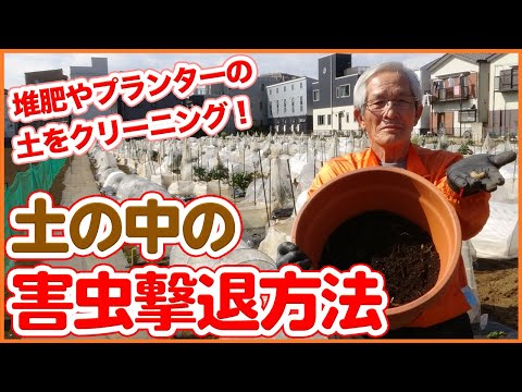 堆肥中の虫の出現を避ける方法