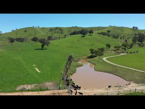 146 Hobans Road, Alexandra, VIC 3714, 0 Schlafzimmer, 0 Badezimmer, Lifestyle Property