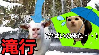 【猫ミーム】占い師の滝行！！