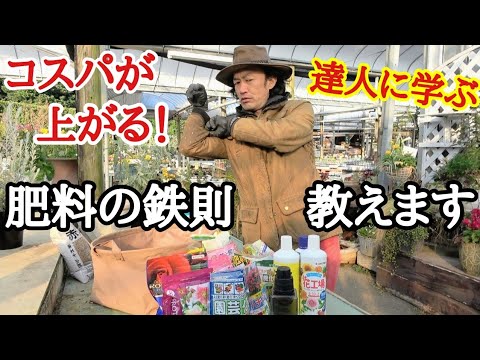 ムンプコニュアについて詳しく解説