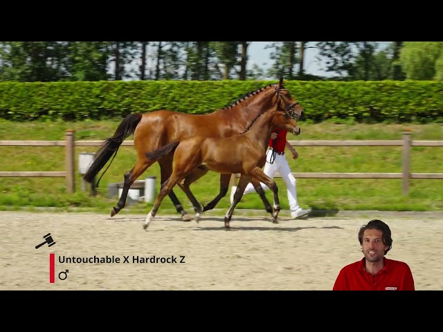 Unbreakable LH 