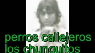 los chunguitos(soy un perro callejero)