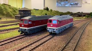 Neuheit 21 Piko 52765 vs. Roco 52463 BR 142 005-8 Deutsche Reichsbahn Ludmilla H0 Vergleichs Video