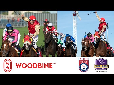 2019 Ricoh Woodbine Mile (Grade I): Woodbine, September 14, 2019 - Race 9