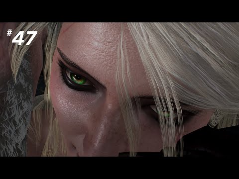 THE WITCHER 3: WILD HUNT Walkthrough Gameplay Part - 47 1440p (2k 60fps)