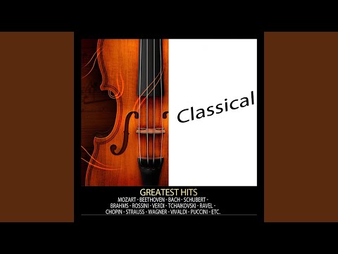 La chauve-souris : Ouverture