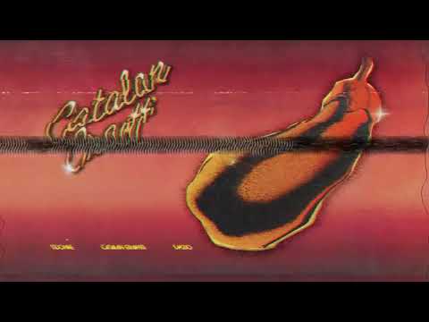 Sidonie - Aquesta Nit Es La Nit (Visualizer)