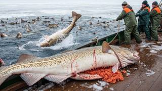 As Capturas Mais Surpreendentes de 2026 💥 31+ Momentos Que Vão Te Chocar