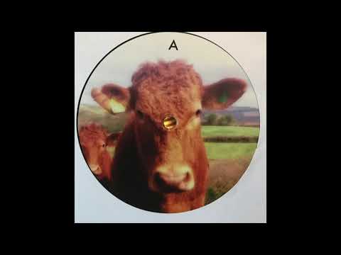 Material Things feat. Sista Jane Warriah - Dub Dynasty - Holy Cow