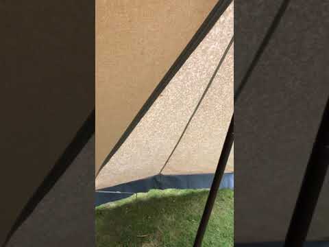 De Waard Vergrote Zilvermeeuw - 120620