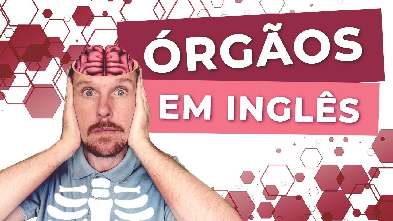 Órgãos do Corpo Humano em Inglês + Verbos & Expressões