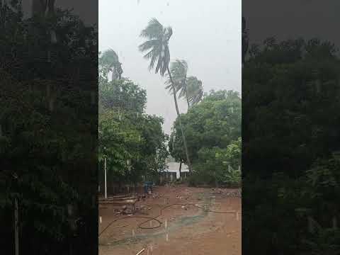 🌧️ ¡Lluvia fuerte en La Pacha, Bolívar, Colombia! 🇨🇴