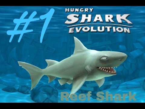 Hungry Shark Evolution #1|Reef Shark