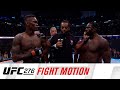 Fight Motion | UFC 276